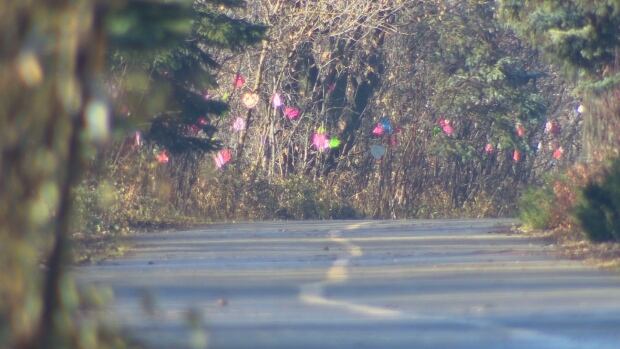 Volunteers are upset the hearts they lined the trail with last November have been taken down