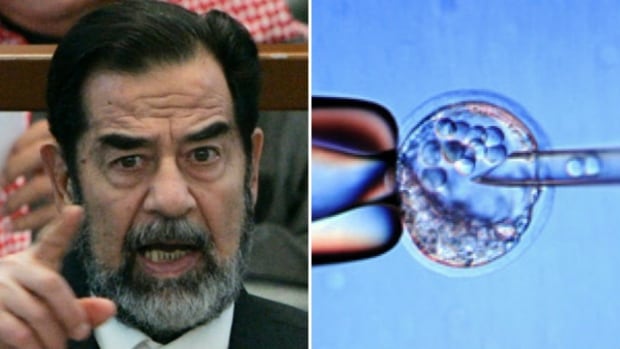 Saddam Stem Cells