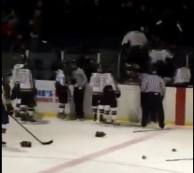 Junior hockey fight