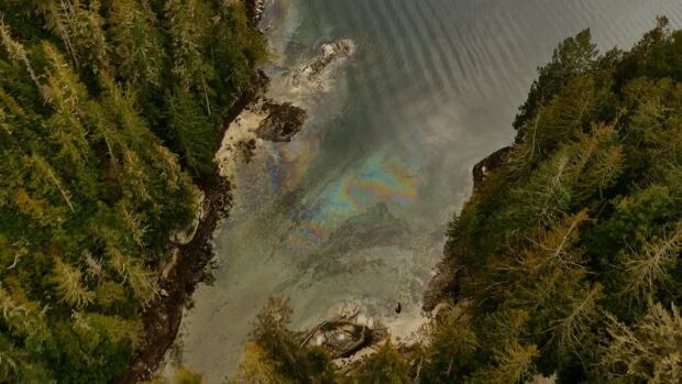 fish farm diesel spill
