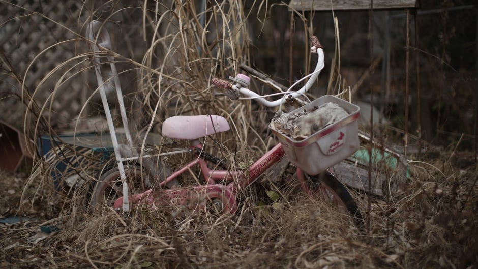 Nature takes over homes and businesses inside the radiation contamination exclusion zone close to the devastated Fukushima Daiichi Nuclear Power Plant, Feb. 22, 2016, in Namie, Fukushima, Japan.