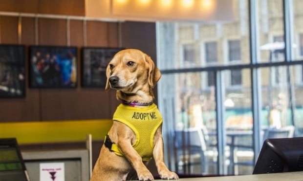 Aloft Hotel