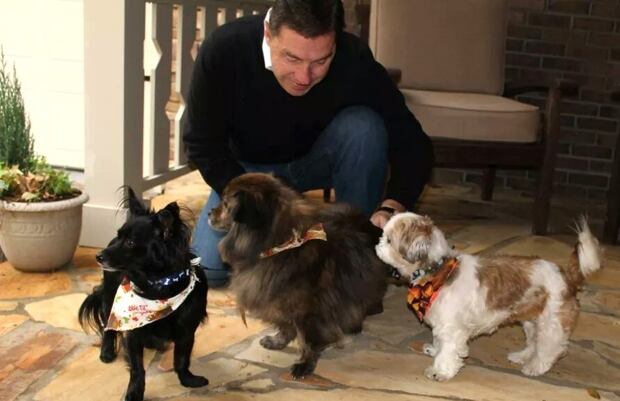 Dogs