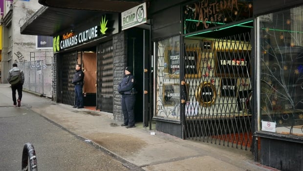 Cannabis Culture raid