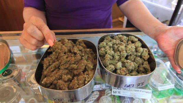 CANADA MARIJUANA/REGULATIONS