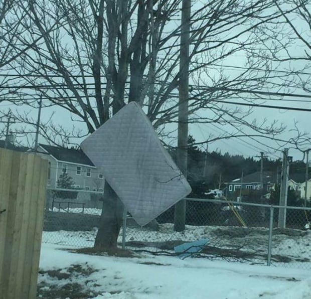 Mattress against tree St. John's winds