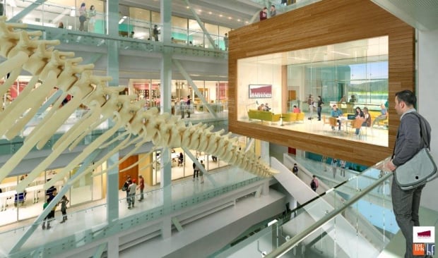 Memorial University Blue Whale