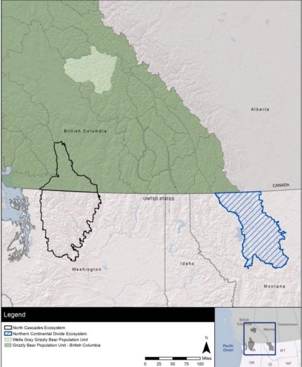 Grizzly move map
