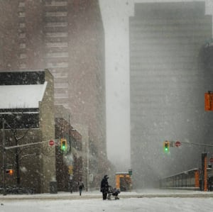 Snow Hamilton