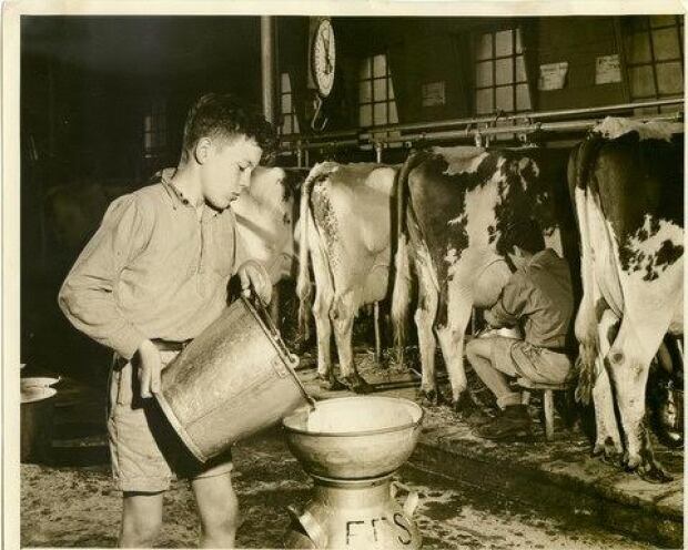 Dairy Duty