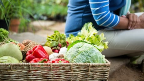 A decade ago Newfoundland and Labrador was setting an example by having the lowest food insecurity rates in the country. Coming into the pandemic we found ourselves at the back of the pack with some of the highest rates in the country.
452765563 woman seated by woven basket of fresh veggies