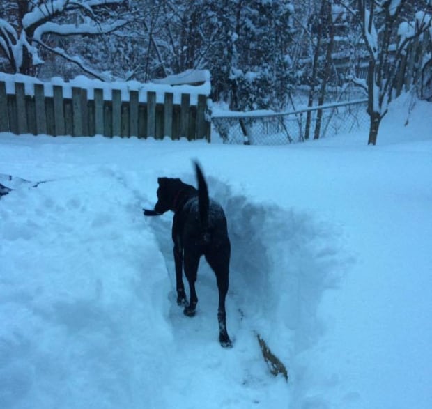 snow montreal 9