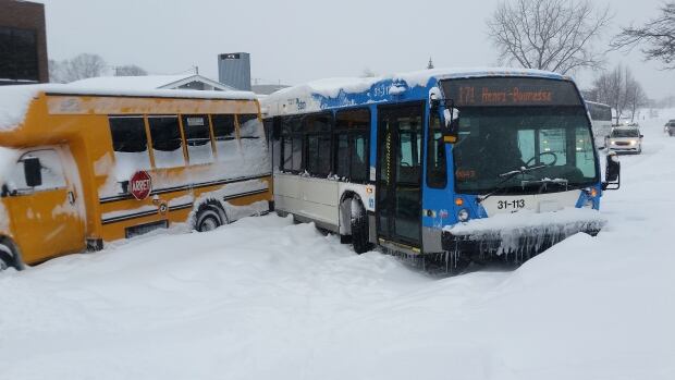 buses cote vertu