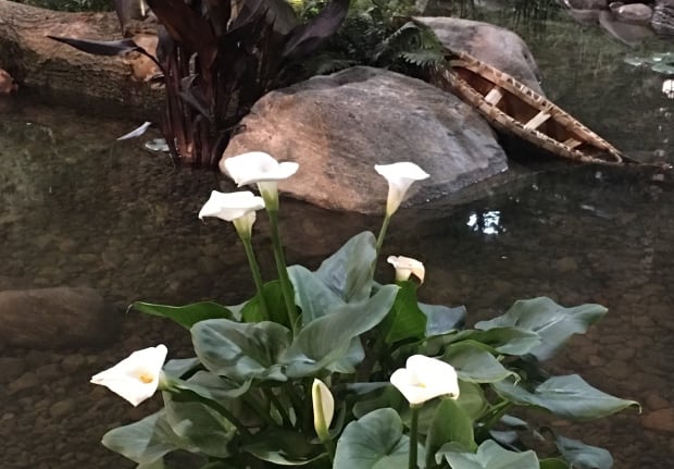 Secret Path Garden 3