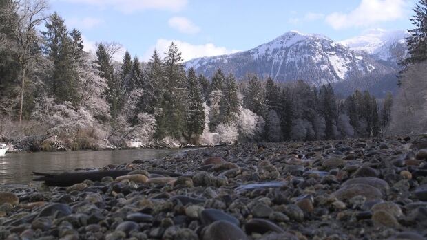 Kingcome River