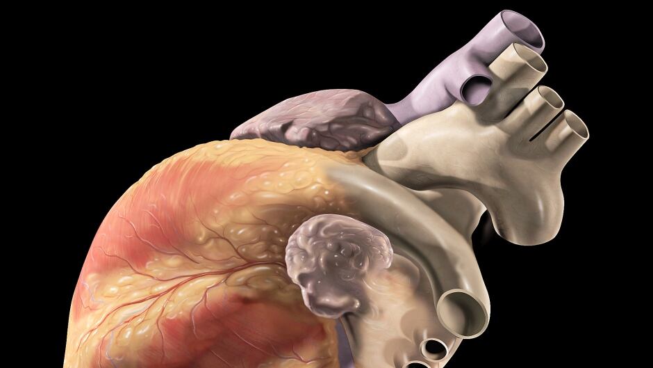 Researchers from the University of Minnesota have devised a "nano-warming" technology that might eventually overcome the challenge of preserving organs and tissue for extended periods of time.