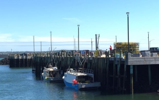 Grand Manan Boats 2