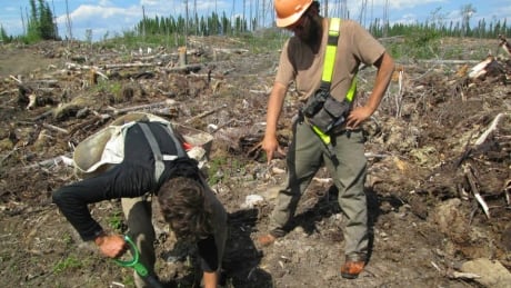 Sam planting his last tree. He insisted on getting crew boss Tyler to lord over him in the shot. Last tree