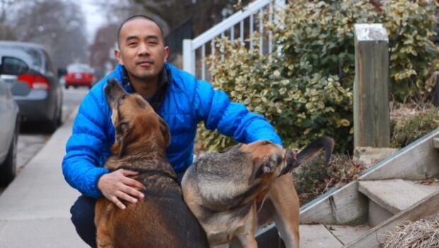 dogs9