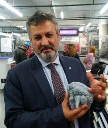 Rayeghani brain