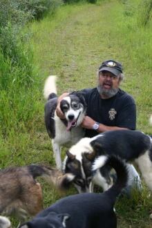 Yukon trineo de perro de los dueños de establecer estándares de cuidado para animales - Norte ... - CBC.ca 1 Frank Turner