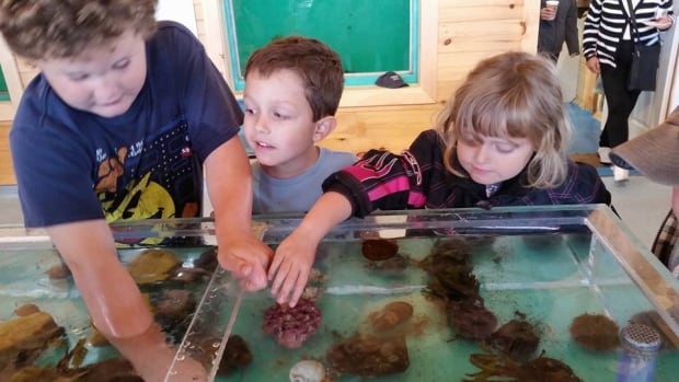 Champney's West Aquarium