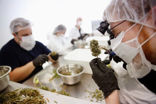 CANADA-CANNABIS/