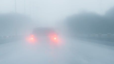 Foggy driving