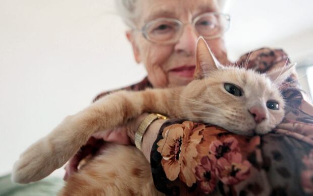 Pets Declawing and Debarking