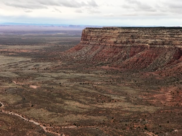 Bears Ears Thurs-1