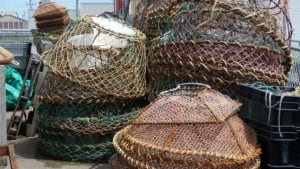 crab traps