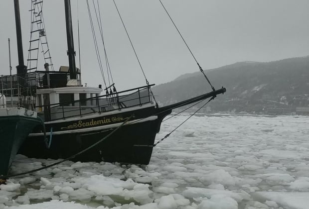 Ice in St. John's harbour March 31, 2017