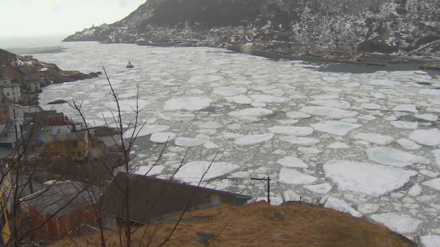 St. John's Harbour narrows ice storm March 31, 2017