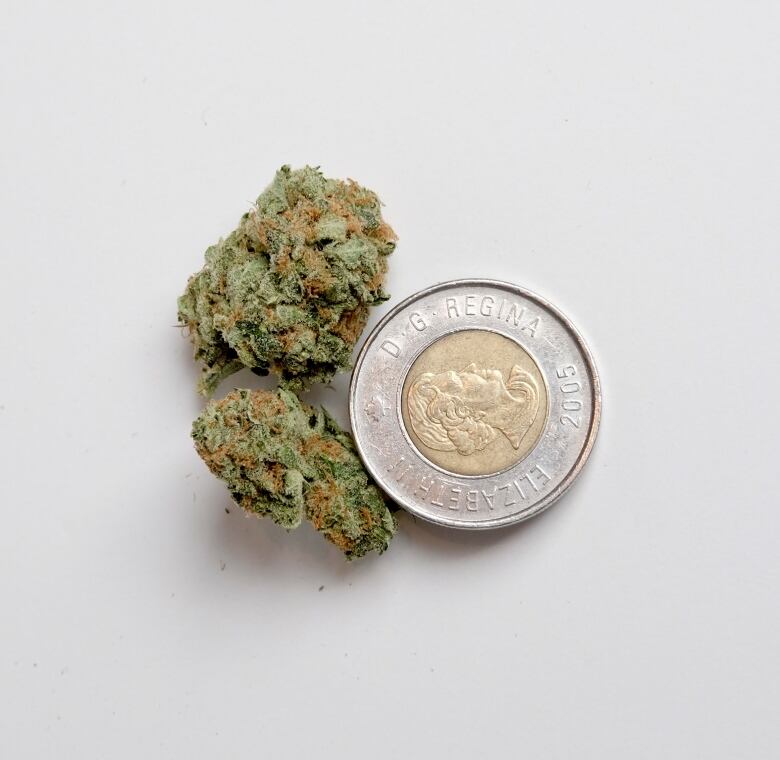 How High Will The Price Of Legal Pot Be CBC News