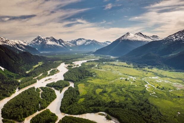 Tulsequah River