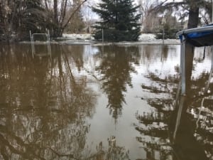 Swan River 2017 flooding