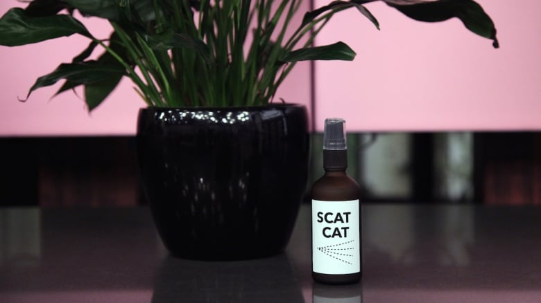 Scat hotsell cat spray