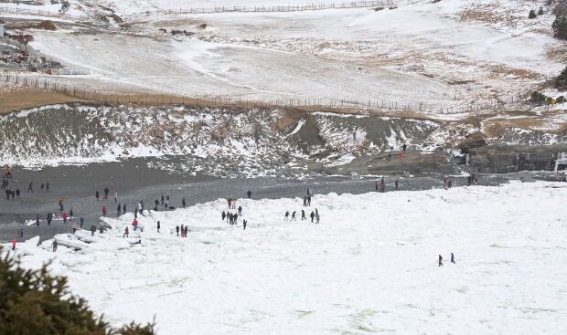Walking on sea ice Middle Cove