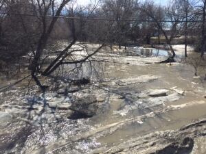 Boyne River, Carman spring flooding