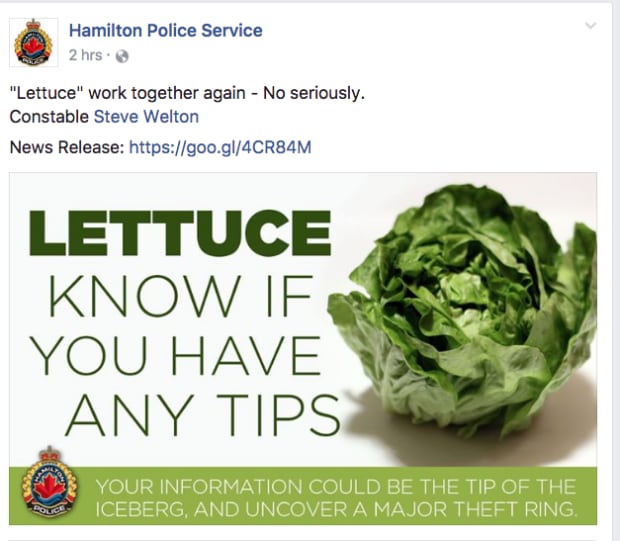 Lettuce theft hamilton
