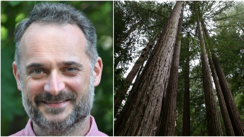 Biologist David George Haskell studies the sounds of trees and wrote a book about his findings called "The Songs of Trees."