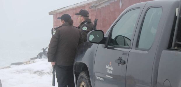Catalina wildlife officers guns polar bear