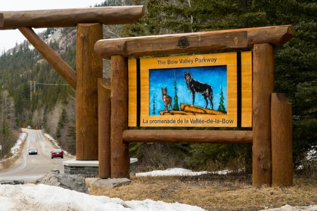 Bow Valley Parkway