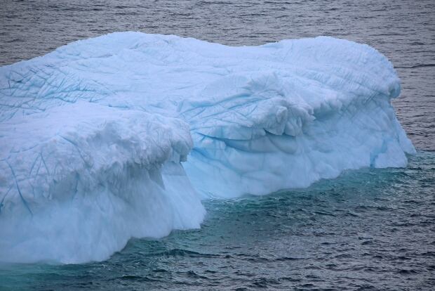 Iceberg Cape Spear