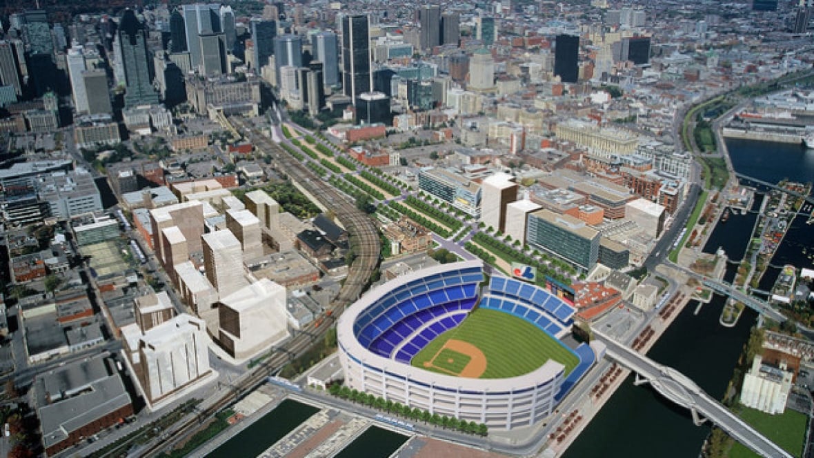 City support for pro baseball's return should be put to a referendum