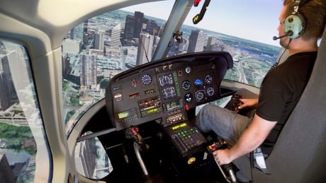 Flight simulator