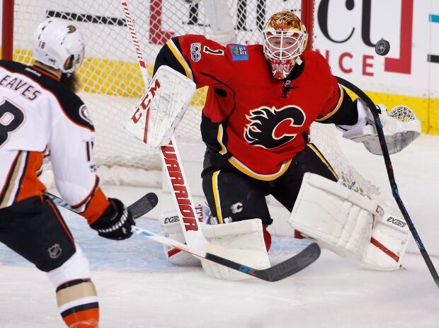 ducks-flames