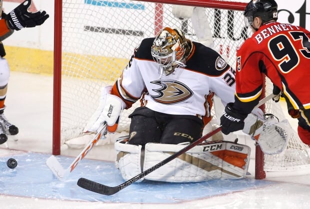 ducks-flames