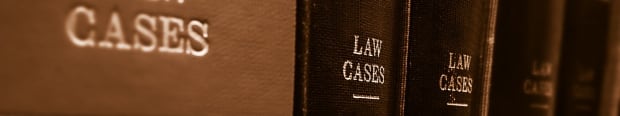 life of the law banner