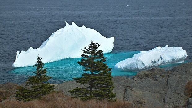 This iceberg was grounded about one kilometre north of the bull head lighthouse on the Spout Path outside St. John's.